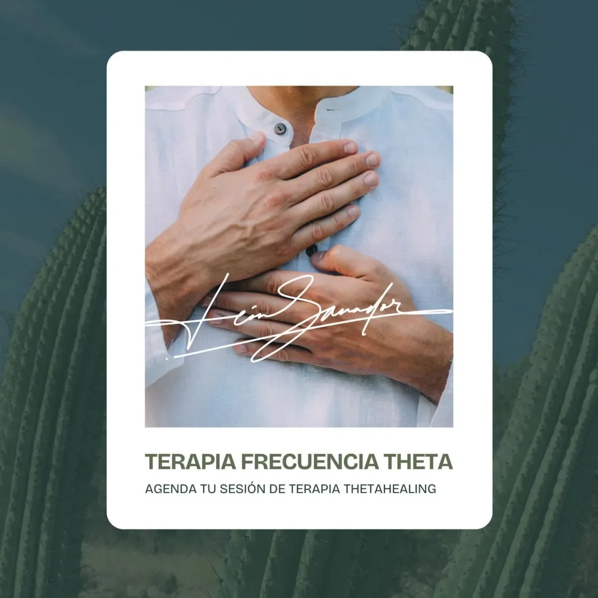 Terapia frecuencia theta